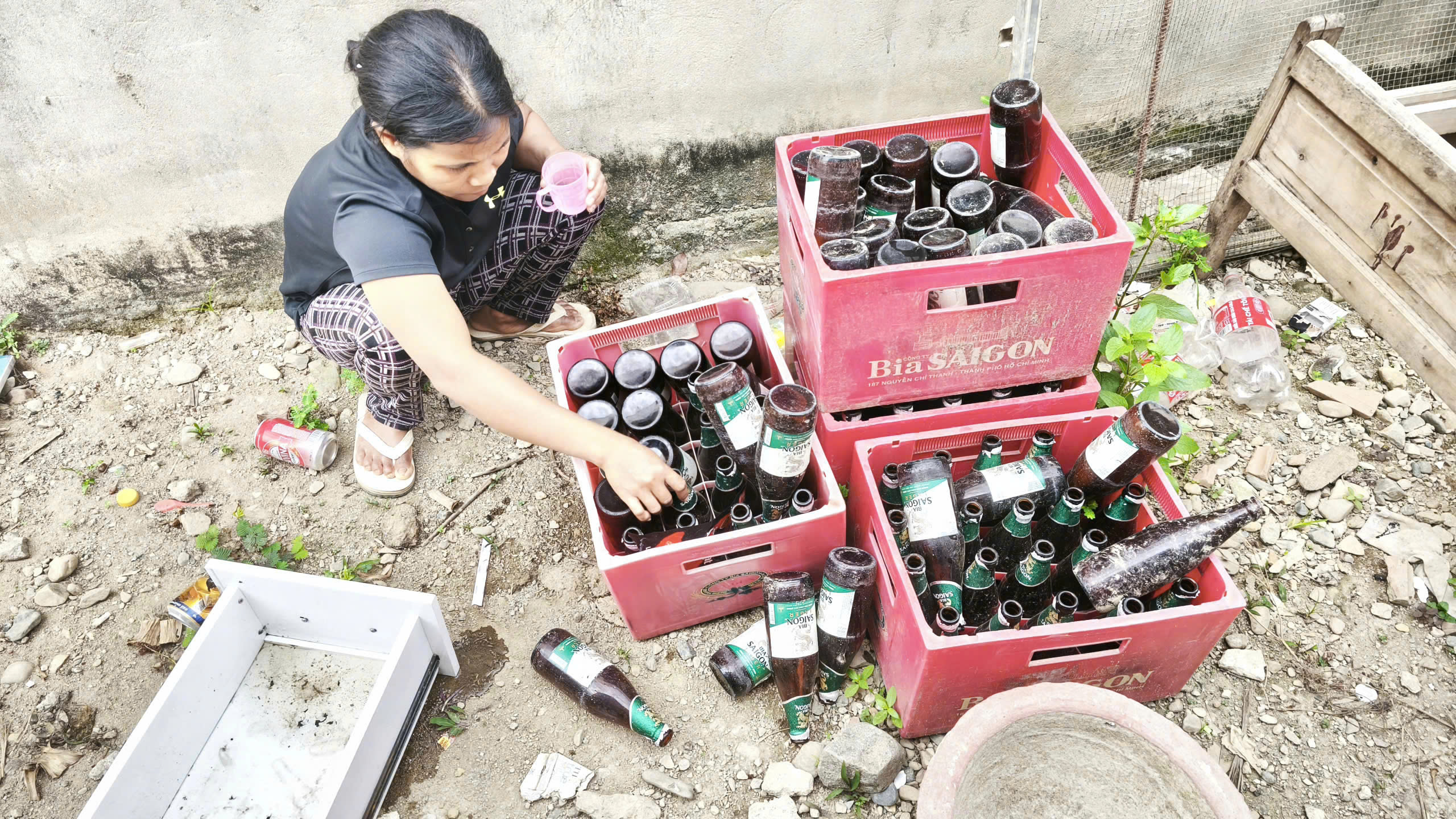 Khánh Hòa: tăng cường truyền thông phòng, chống bệnh sốt xuất huyết
